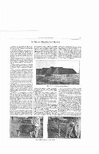 LIVRE D OR DE L ORANIE_000022